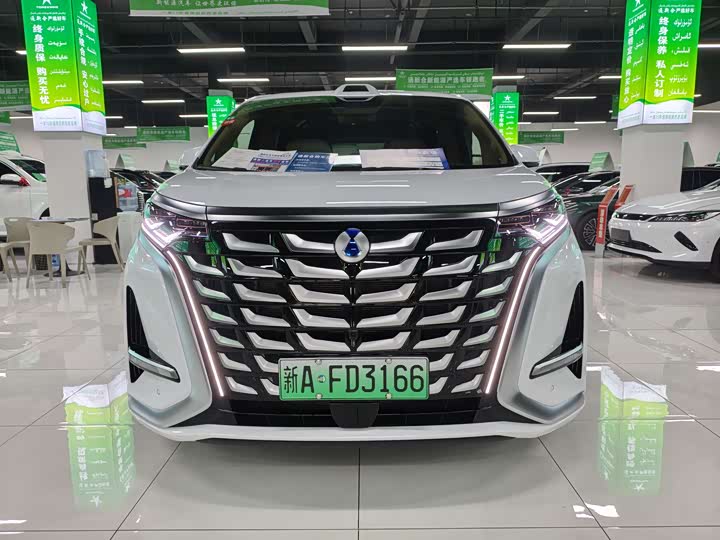 Фото 2 - Denza D9