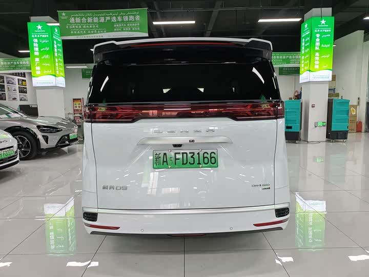 Фото 8 - Denza D9