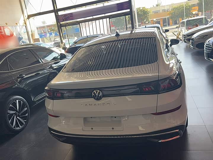 Фото 9 - Volkswagen Lamando L