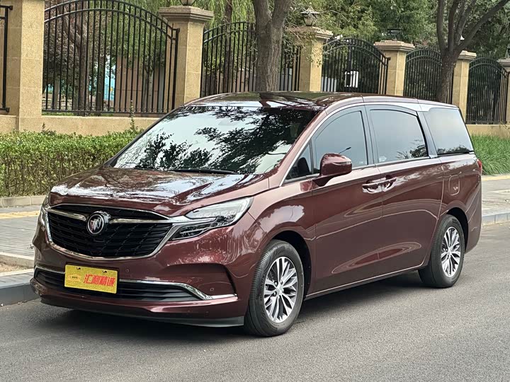 Фото 1 - Buick GL8 ES