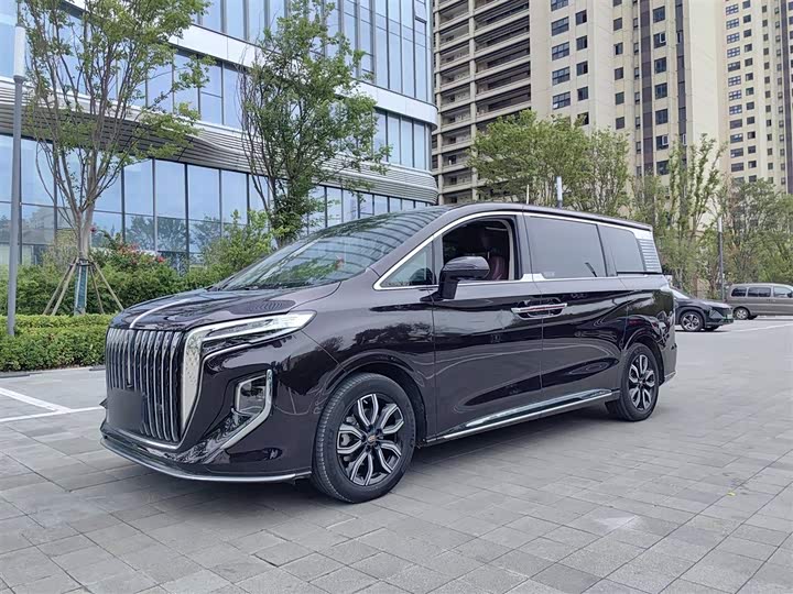 Фото 7 - Hongqi HQ9