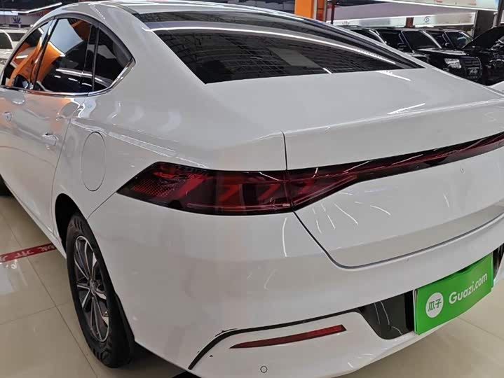 Фото 5 - BYD Qin Plus