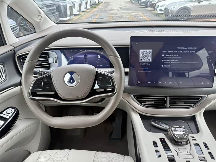 Фото 14 - Denza D9