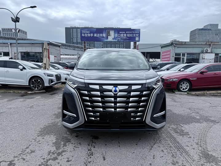 Фото 2 - Denza D9