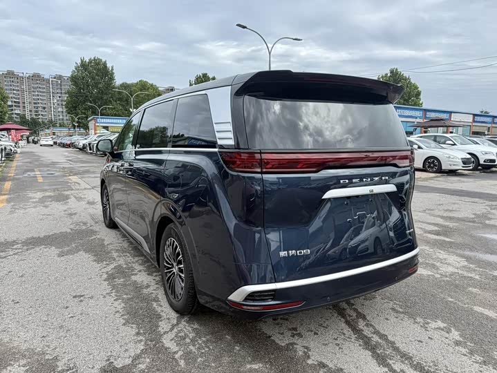 Фото 5 - Denza D9