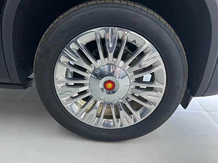 Фото 18 - Hongqi LS7 (Guoyao)