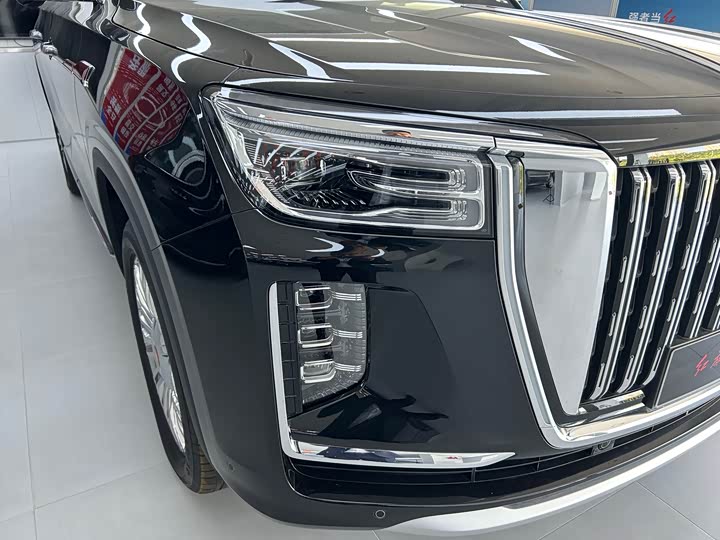 Фото 2 - Hongqi LS7 (Guoyao)
