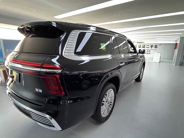 Фото 4 - Hongqi LS7 (Guoyao)