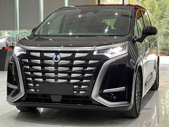 Фото 1 - Denza D9