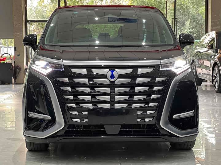 Фото 2 - Denza D9