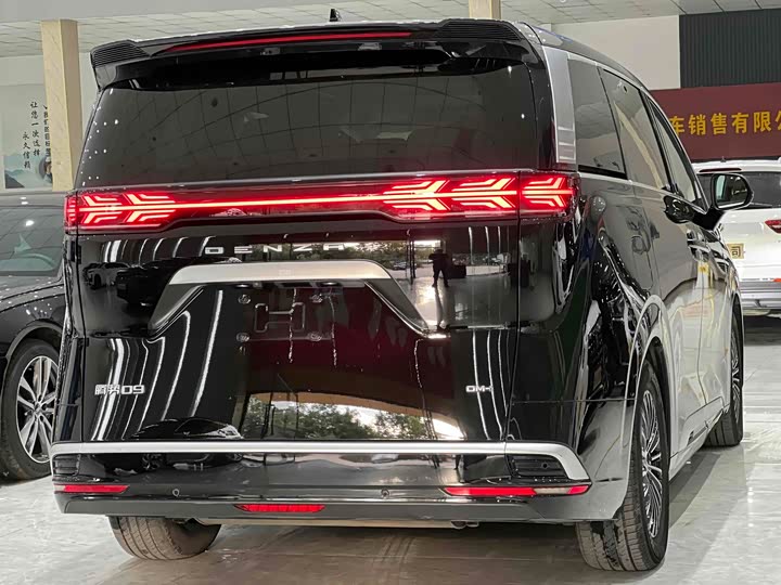 Фото 6 - Denza D9