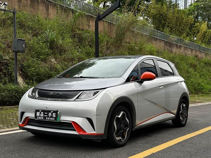 Фото 1 - BYD Dolphin