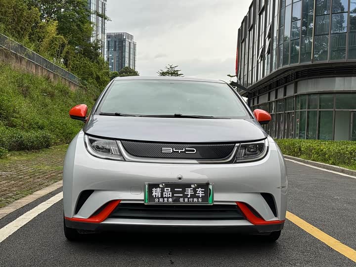 Фото 2 - BYD Dolphin