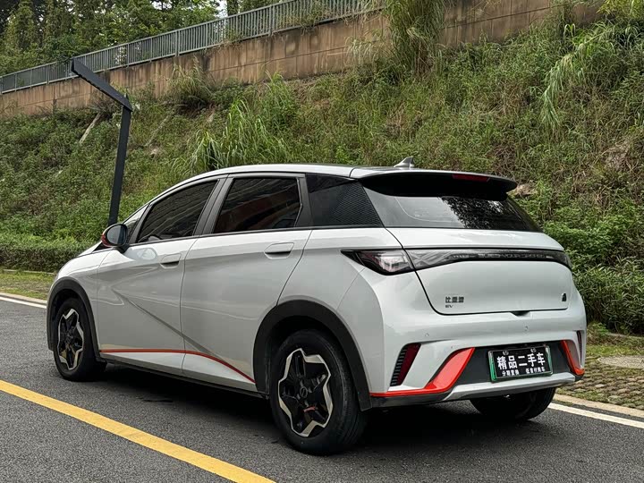 Фото 24 - BYD Dolphin