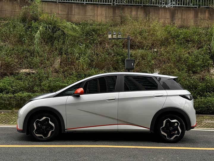 Фото 27 - BYD Dolphin