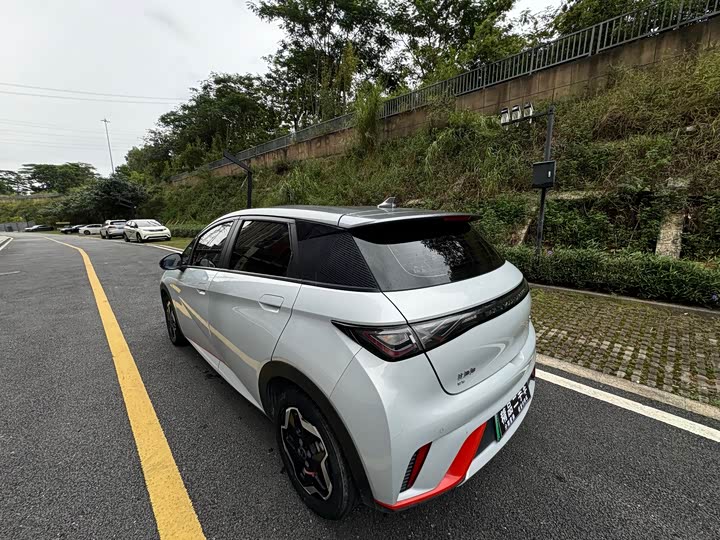 Фото 29 - BYD Dolphin