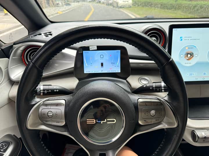 Фото 9 - BYD Dolphin