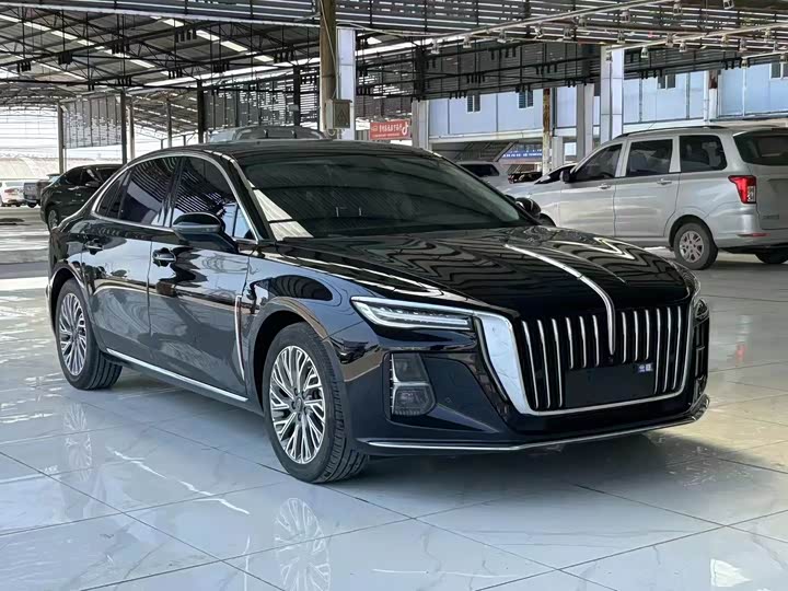 Фото 3 - Hongqi H5