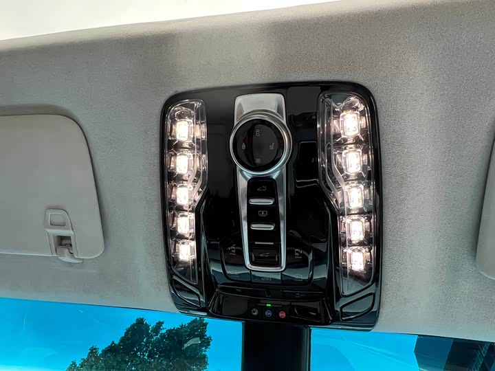 Фото 15 - Buick GL8 Century