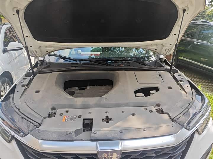 Фото 11 - Roewe RX5