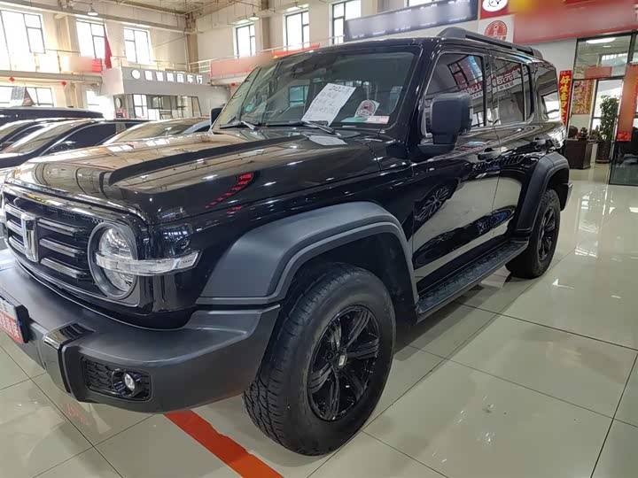 Фото 1 - Tank 300