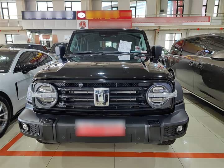 Фото 3 - Tank 300