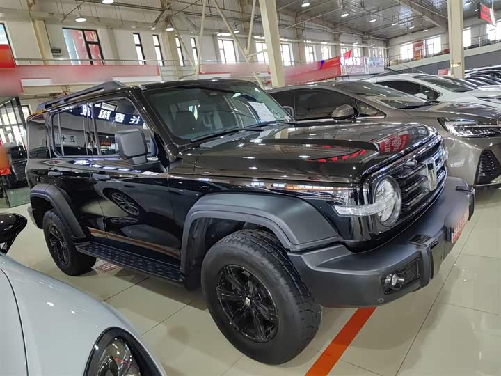 Фото 4 - Tank 300