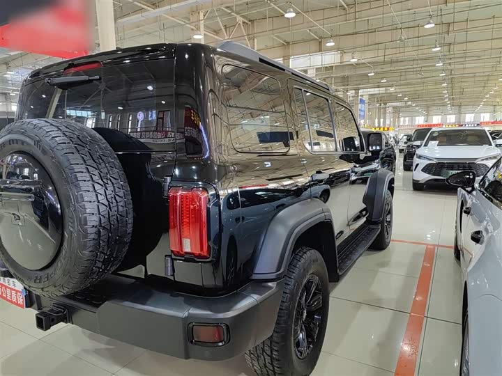 Фото 5 - Tank 300