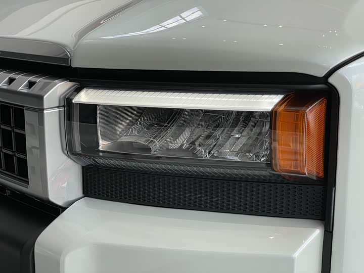 Фото 28 - Toyota Prado