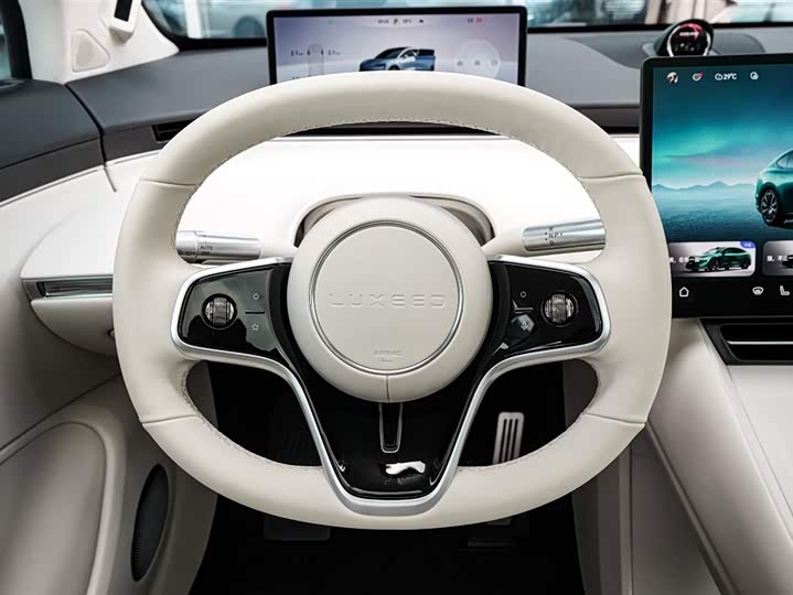 Фото 10 - Luxeed R7