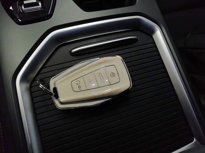Geely Okavango L 2023 2023款 2.0T DCT尊贵型