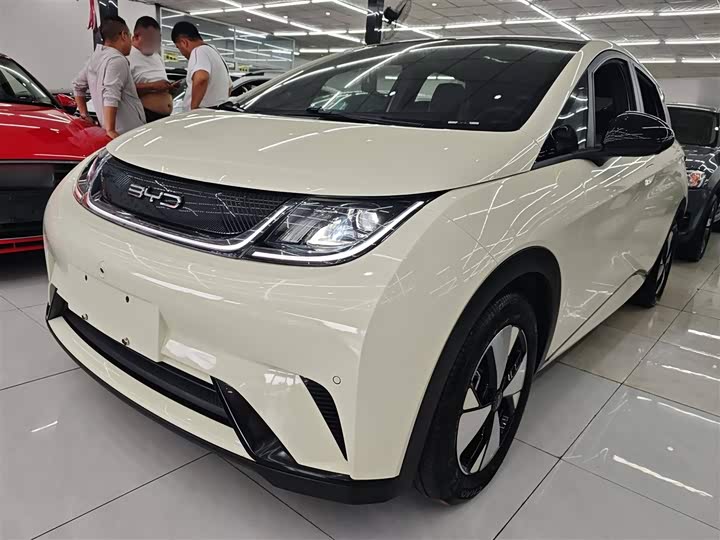 Фото 2 - BYD Dolphin