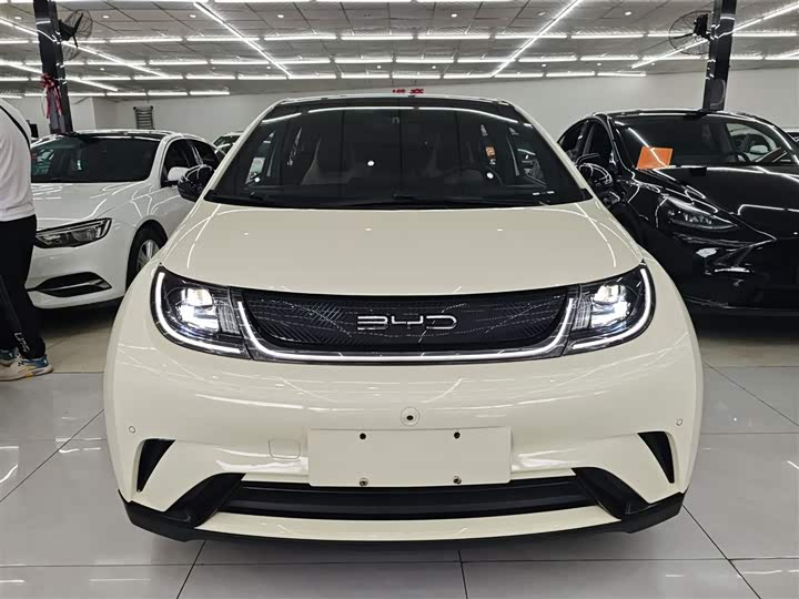 Фото 3 - BYD Dolphin