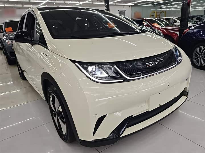 Фото 4 - BYD Dolphin