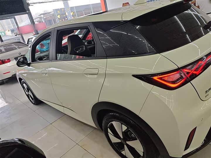 Фото 5 - BYD Dolphin