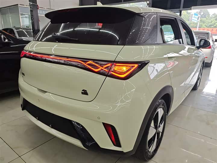 Фото 7 - BYD Dolphin