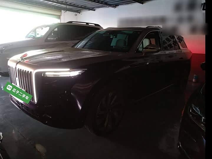 Фото 1 - Hongqi E-HS9