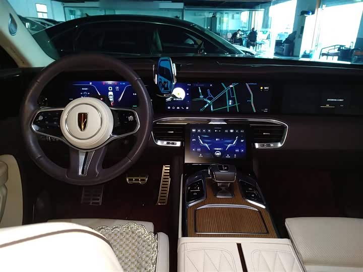 Фото 10 - Hongqi E-HS9