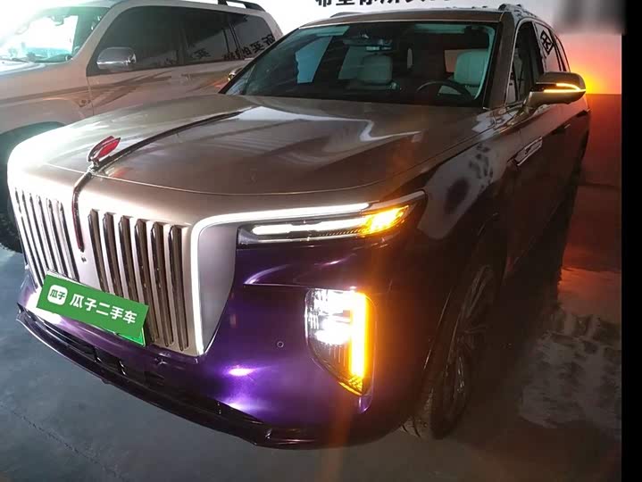 Фото 3 - Hongqi E-HS9