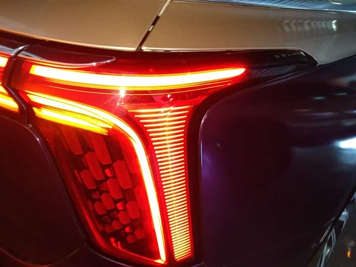 Фото 8 - Hongqi E-HS9