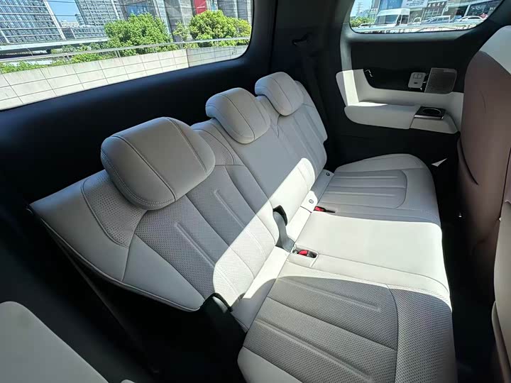 Фото 7 - BYD Xia