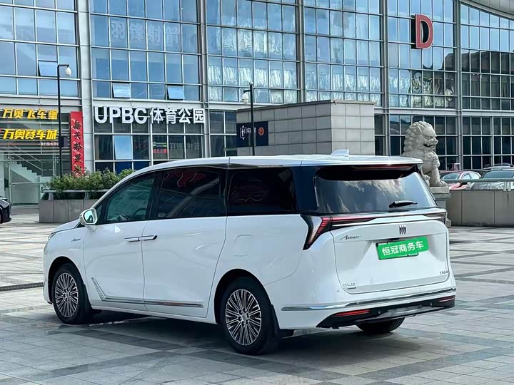 Фото 4 - Buick GL8 Hybrid