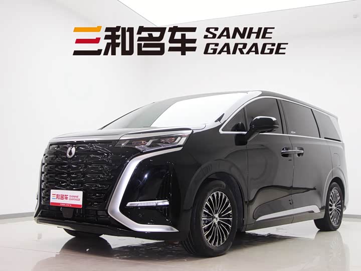 Фото 1 - Denza D9