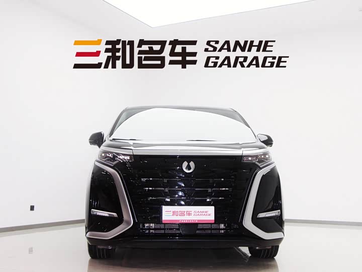 Фото 2 - Denza D9