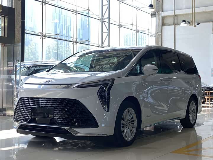 Фото 1 - Buick GL8 Century