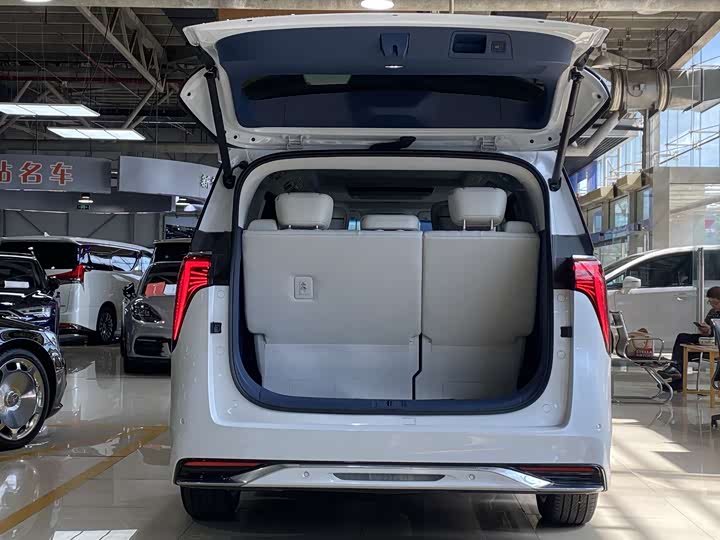 Фото 18 - Buick GL8 Century