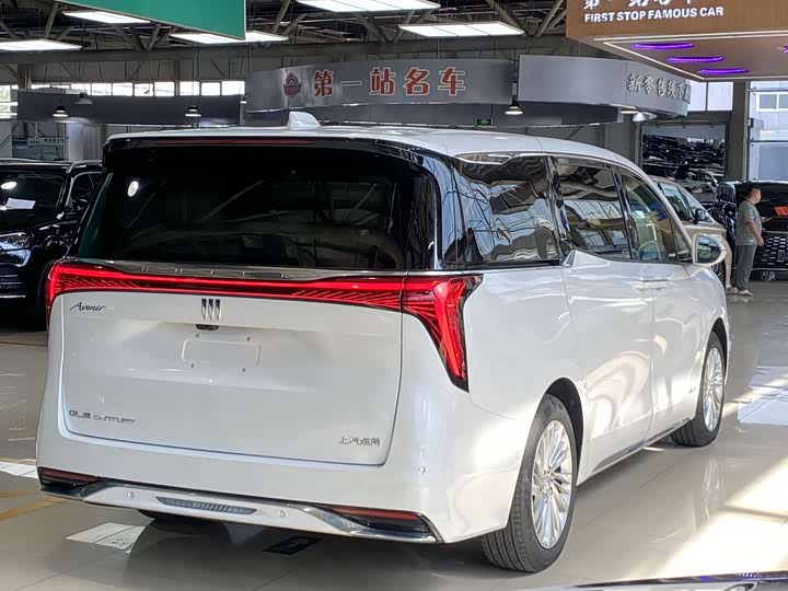 Фото 20 - Buick GL8 Century