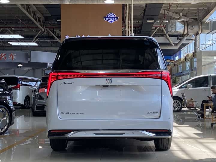 Фото 21 - Buick GL8 Century