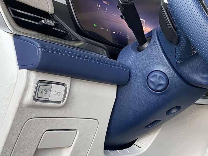 Фото 5 - Buick GL8 Century