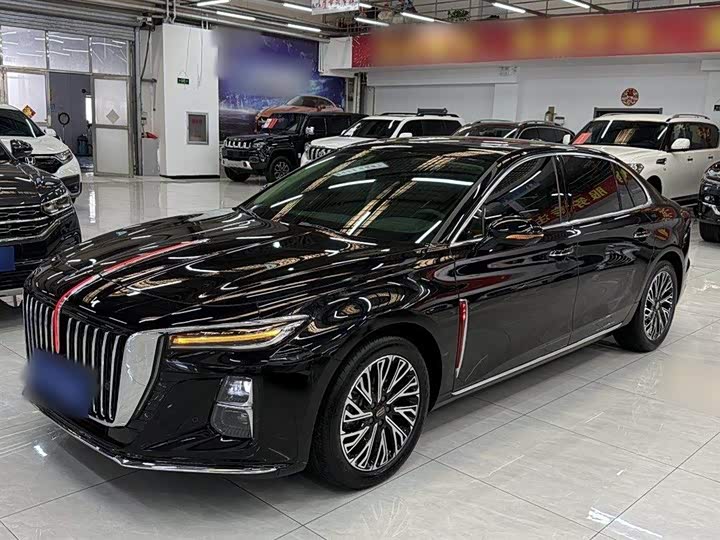 Фото 2 - Hongqi H5